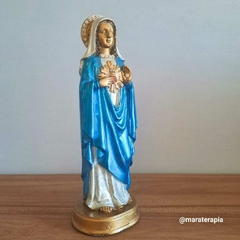 Sagrado Coração de Maria 21cm em resina importada com adornos