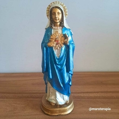 Sagrado Coração de Maria 21cm em resina importada com adornos