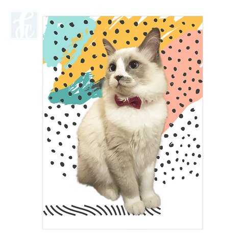 Placa Decor Pet Personalizada - Pintadinho