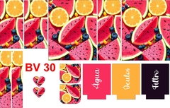 Recorte Bolsa Verão BV 30 - comprar online