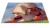 Playmat Pokemon Personalizado Customizado 063 - comprar online