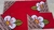 Tapete De Frufru Cozinha 3 Peças Flor Branca fundo Antiderrapante