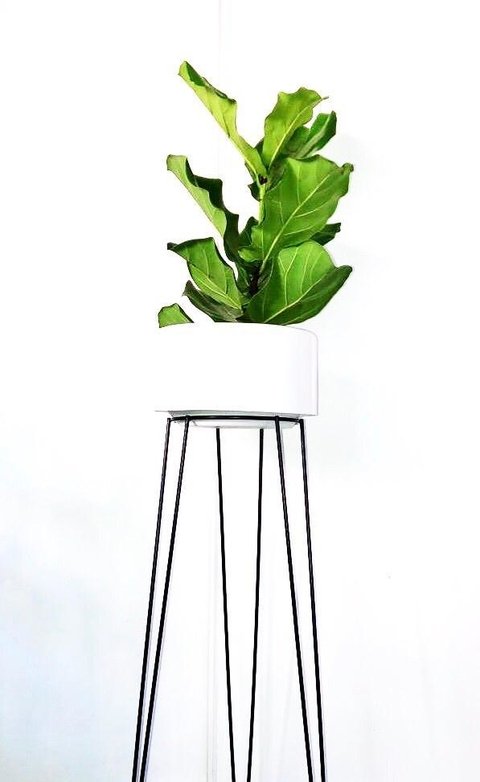 Combo Portamaceta/macetero Hierro 80cm con Maceta de Fibra Vidrio Baja