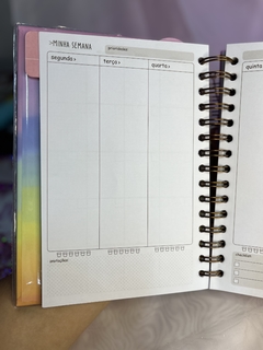 Planner Permanente Margaridas na internet