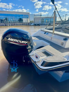 ECLIPSE 19 SS CUDDY MERCURY 150 HP 4T en internet
