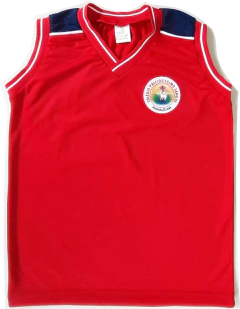 PS003-CAMISETA ED FISICA PRECIOSISSIMO SANGUE