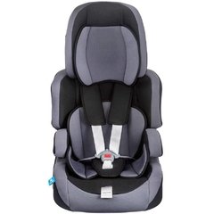 Cadeira Para Auto Protek 9 A 36 Kg Grafite