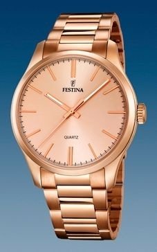 RELOJ FESTINA CLASSIC MEN GOLD F16809/1