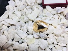Anillo sello oval liso oro 18K - tienda online