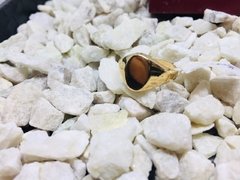 Anillo sello oval liso oro 18K - Joyería Siufi