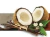 ESENCIA VELAS DE 50 CC COCO VAINILLA {189-0171} - comprar online