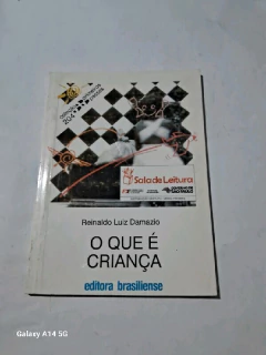 LIVRO O QUE É CRIANÇA DE REINALDO LUIZ DAMAZIO