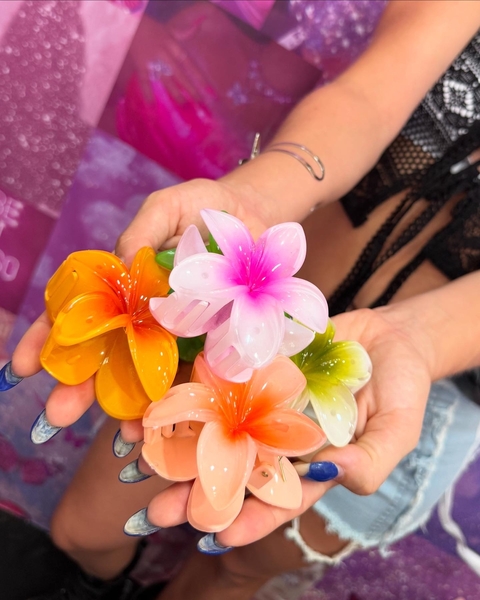 BROCHES HAWAI - comprar online