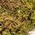 2kg Musgo Verde Desidratadas Decoração Arranjos Flores - Tuberias Comércio | Loja de Decoração, Presentes e Jardim