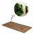 Placa de Fibra Coco Coquim 40x80x1,5cm Orquideas e Bromelha na internet