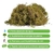 1kg Musgo Verde Desidratadas Decoração Arranjos Flores - comprar online