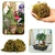 Imagem do 250g Musgo Verde Desidratadas Decoração Arranjos Flores