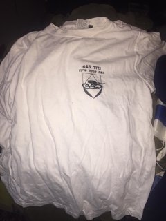 Camiseta IDF Forças de Defesa de Israel Armour Battalion 445 NOVA, Tam: L