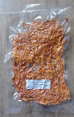 Cogumelo Cordyceps (Cordyceps militaris) desidratado embalado à vácuo - 10 gramas ou 100 gramas na internet