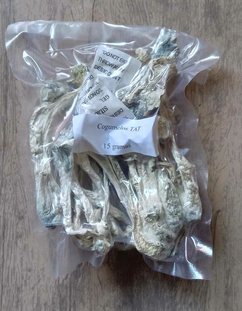 Cogumelo Mágico Psilocybe cubensis TAT (True Albino Teacher) - desidratado embalado à vácuo (3g, 15g, 30g, 50g ou 100g)