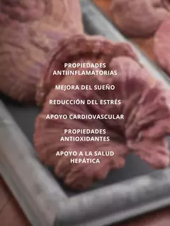 Reishi doble extracto 100ml - comprar online