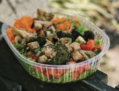 PACK VEGANAS X6 UNIDADES TAMAÑO GRANDE. - Viandas saludables HealthyNutrition