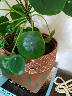 Cachepô tecido Cactos - comprar online