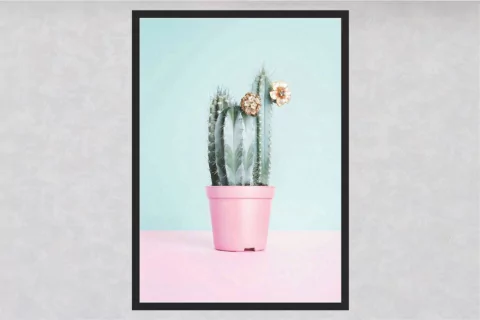 quadro decorativo moldura laqueada com vidro Cactos compra