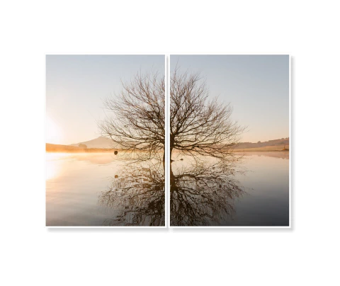 Kit Árvore pôr do sol