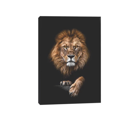 Leão Rei - Casa da Coruja