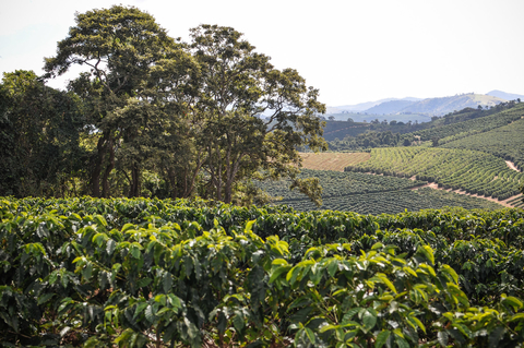 Carrusel Fazenda Recanto