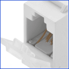 Jack Rj-45 Premium Blanco Cat5E Furukawa.- - comprar online