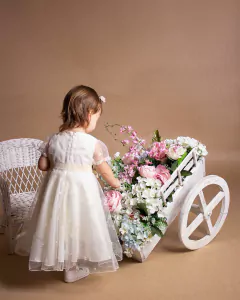 Vestido JOSEFINA en internet