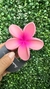 Pregadeira Fosca Flor 3D - Rosa 5792