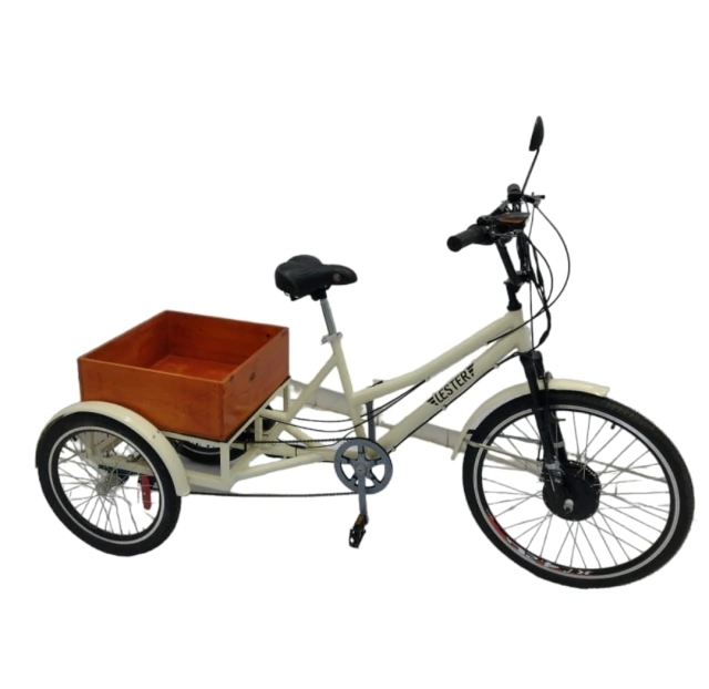 Triciclo Eléctrico de Paseo - comprar online