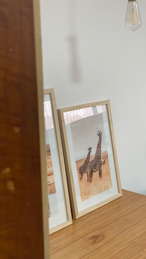Safari 2
