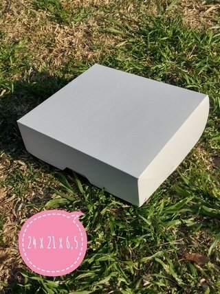 Caja multiuso 24x21x6.5