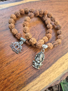 Semillas de rudraksha y dije ( elastica) - comprar online