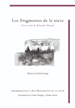 FRAGMENTOS DE LA NIEVE de BERNARDO DURAN