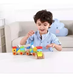 TREN DE ARRASTRE CON BLOQUES DE MADERA TOOKY TOY en internet