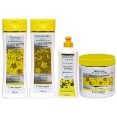 bons produtos para cabelos cacheados