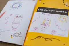Diario de emociones en internet