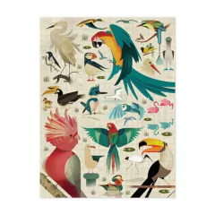Rompecabezas pajaros x750 - comprar online
