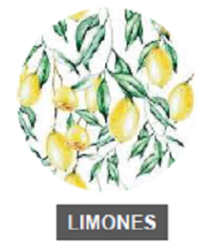 PLATO DE SITIO DE PAPEL - 24 UNIDADES - Obseqyarte