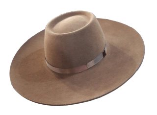 Chapéu Campeiro Premium Ref. 3839