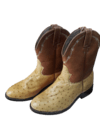 Bota Jacomo Ref. JCL07 - comprar online