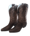 Bota6