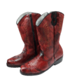 Bota