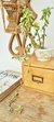 DIONISIO fichero antiguo - valebottadecovintage