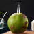 Furador de coco - comprar online